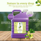 SVA Moringa Seed Oil Organic - Image 7