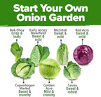 HOME GROWN Cabbage Seeds 7 Variety Mix 2000+ Heirloom Non-GMO, High Germination - Image 2