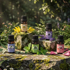 SACATR Essential Oils Set - Image 4