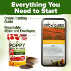 HOME GROWN American Legion Red Poppy Seeds - Image 8