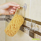PARADISO Evriholder Sea Foam Body Sponge - Image 3