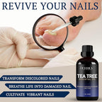 Tea Tree Oil for Toenails - Image 2