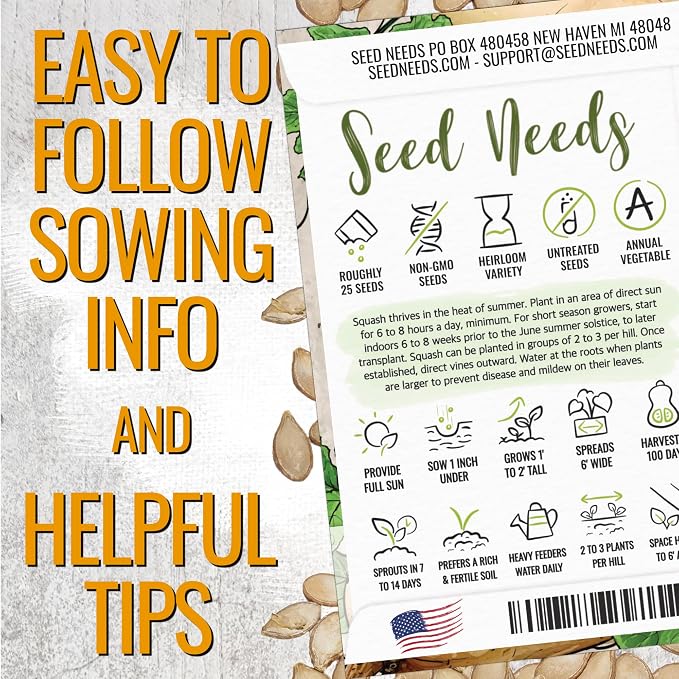 Seed Needs Waltham Butternut Squash Seeds - Image 4