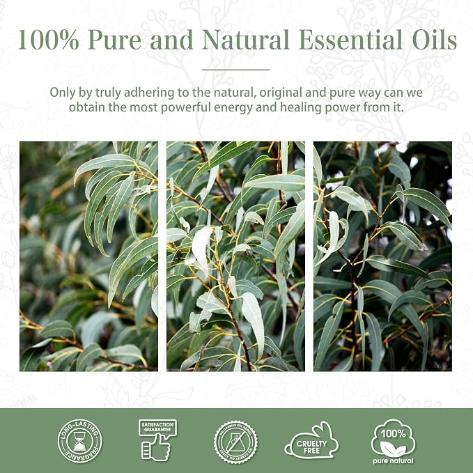 PHATOIL Eucalyptus Essential Oil 30ML, Pure Eucalyptus Essential Oils - Image 7