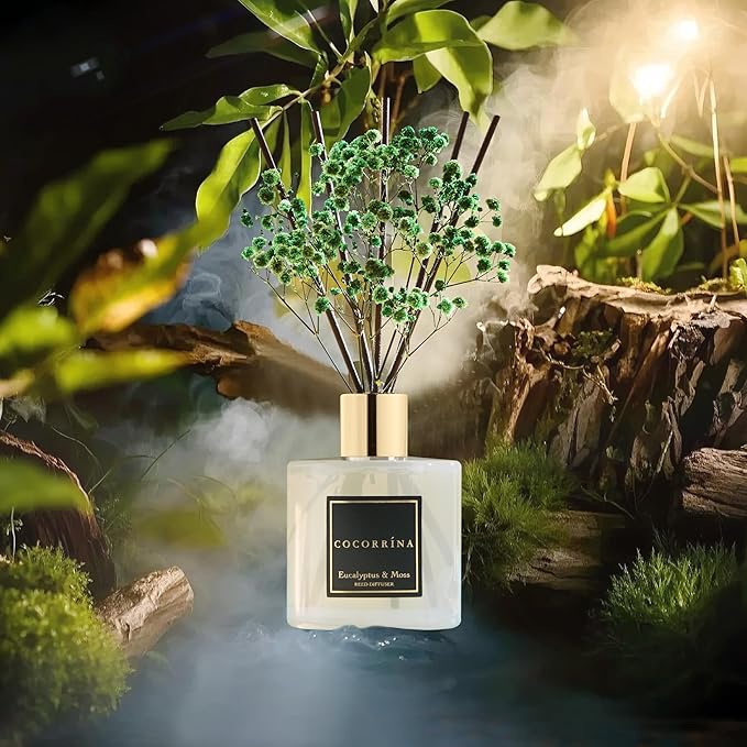 Cocorrína Reed Diffuser Sets- Eucalyptus & Moss Scented Diffuser - Image 4