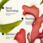 Eva NYC Repair Leave-In Hair Treatment - Image 3