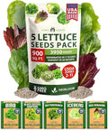 HOME GROWN Lettuce Seeds 5 Variety Mix 3950+ Bulk Pack Heirloom Non-GMO by HOMEGROWN