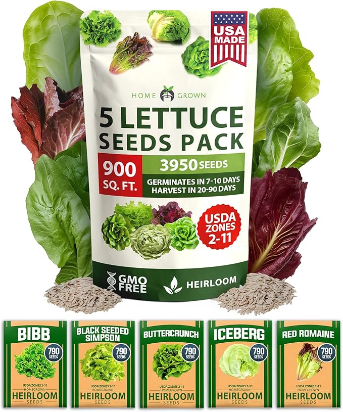 HOME GROWN Lettuce Seeds 5 Variety Mix 3950+ Bulk Pack Heirloom Non-GMO by HOMEGROWN