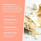 Frankincense Essential Massage Oil - Image 3