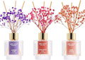 Airkeep Reed Diffuser Set of 3, Lavender Thyme Sandalwood Rose Cherry Blossom by Airkeep