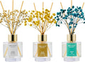 Airkeep Reed Diffuser Set of 3, Clean Cotton White Jasmine White Tea Oil Reed by Airkeep