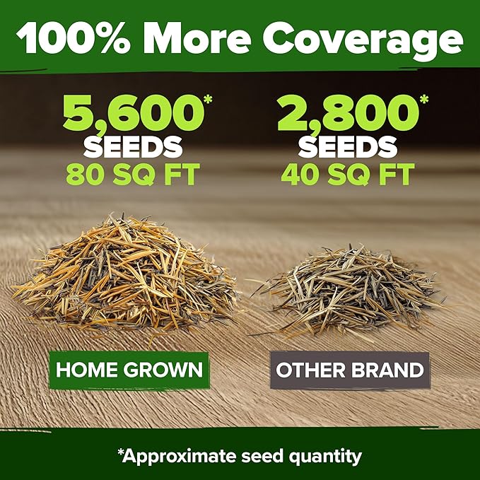 HOME GROWN Marigold Seeds Bulk Mix - Image 3