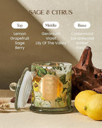 M&SENSE Sage Citrus Soy Candles, Natural Organic 2 Wick 12.7oz 75H Long Lasting - Image 2