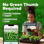 HOME GROWN Contender Bush Bean Seeds 28+ Heirloom Non-GMO, High Germination - Image 8