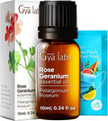 100% Pure Rose Geranium Essential Oil by GyaLabs
