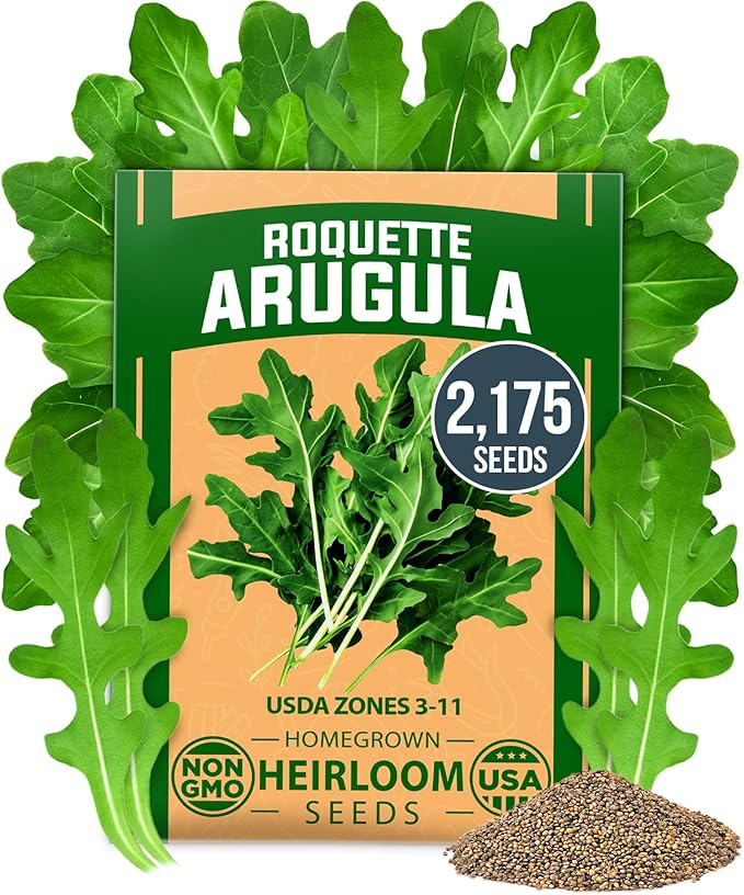 HOME GROWN Arugula Roquette Seeds 2, 175+ Heirloom Non-GMO Seeds by HOMEGROWN