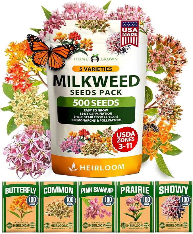 HOME GROWN Milkweed Flower Seeds by HOMEGROWN
