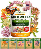 HOME GROWN Milkweed Flower Seeds by HOMEGROWN