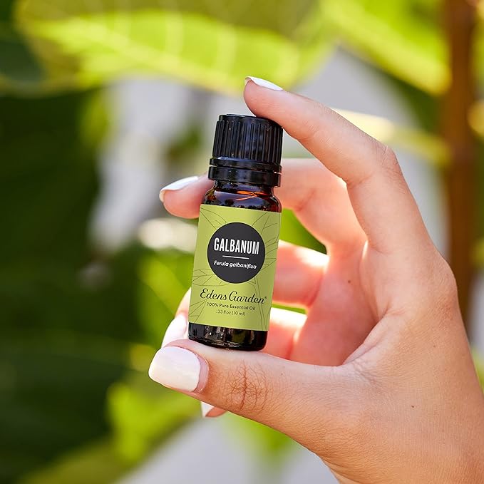 Edens Garden Galbanum Essential Oil- 100% Pure Premium Grade, Therapeutic - Image 2