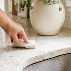 Full Circle Nutcase, Plant-Based Scrubber Sponges – Pack of 6 – 3 Walnut & 3 - Image 10