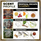 Urban Naturals Car Air Freshener Diffuser 3 Pack - Image 4