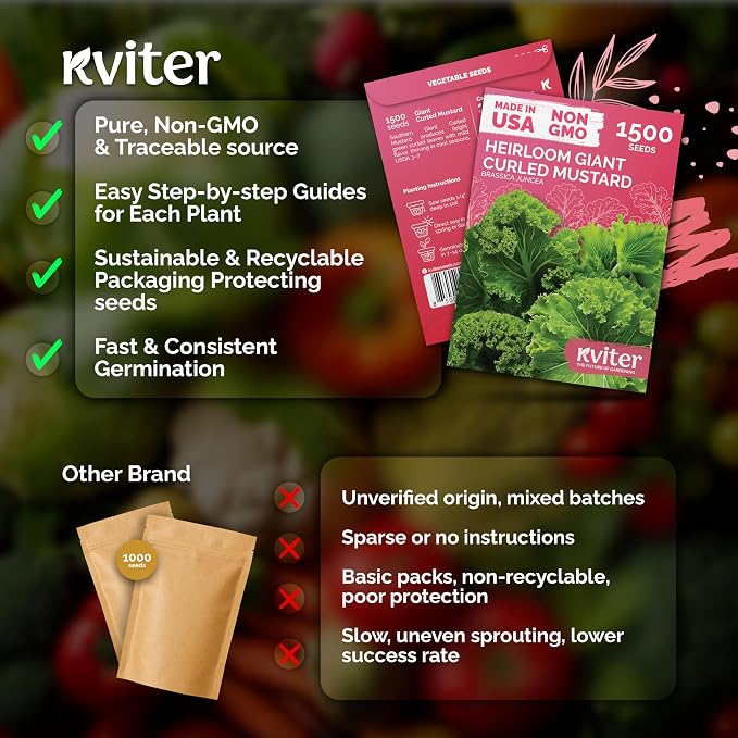 KVITER 1500 Southern Giant Curly Mustard Seeds – Non GMO Heirloom Fast Growing - Image 5