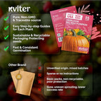 KVITER 25 Big Max Pumpkin Seeds - Image 5