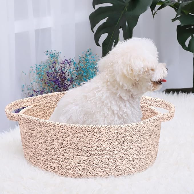 ABenkle Small Basket with Handles, Boho Decorative Rope Woven Dog Cat Toy - Image 3