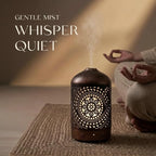 Earnest Living Essential Oil Diffuser Metal Diffuser 100 ml Timers Night Lights - Image 4