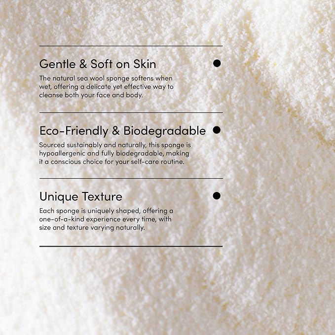 LATHER - Natural Sea Wool Sponge, 5-6" - Organic Exfoliating Body Scrubber - - Image 5