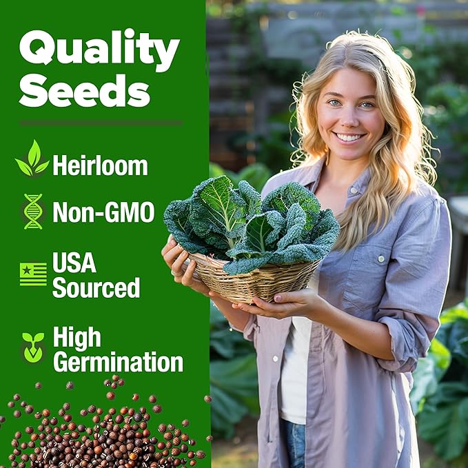 HOME GROWN Georgia Southern Collard Green Seeds 600+ Heirloom Non-GMO Seeds - Image 3
