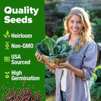 HOME GROWN Collard Greens Georgia Southern 300+ Heirloom Non GMO Seeds - Image 3