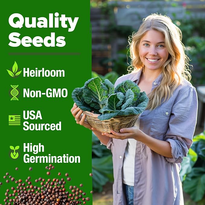 HOME GROWN Collard Greens Georgia Southern 300+ Heirloom Non GMO Seeds - Image 3