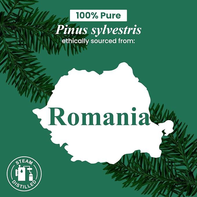 Handcraft Blends Pine Essential Oil – 1 Fl Oz – 100% Pure and Natural – Premium - Image 8