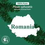 Handcraft Blends Pine Essential Oil – 1 Fl Oz – 100% Pure and Natural – Premium - Image 8