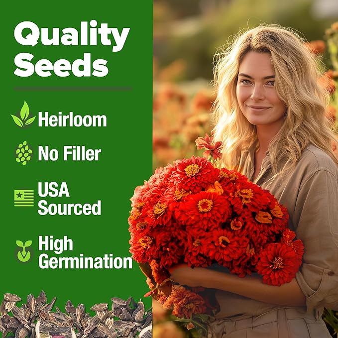 HOME GROWN Will Rogers Zinnia Seeds - Image 2