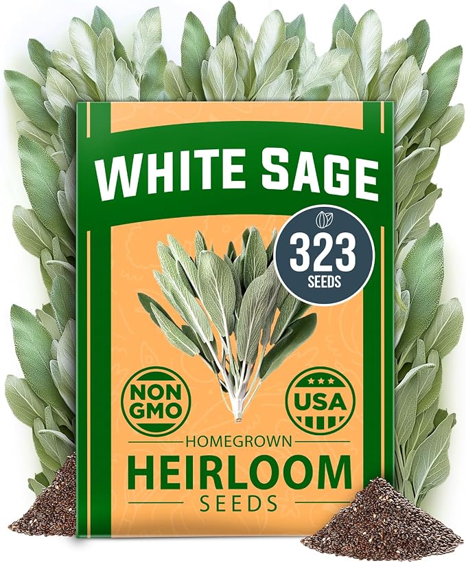 HOME GROWN Non GMO White Sage Seeds 323 Pack Heirloom Seeds by HOMEGROWN