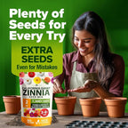 HOME GROWN Zinnia Seeds for 2026 - Image 8