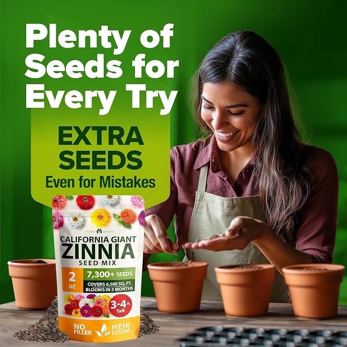 HOME GROWN Zinnia Seeds for 2026 - Image 8