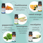 PURA D'OR Organic Perfect10 Essential Oils Set - Image 3