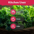 KVITER 600 Vates Blue Scotch Curly Kale Seeds – Curled Green Kale Seed Packets - Image 6