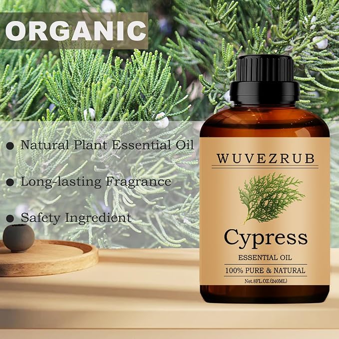 Cypress Essential Oils, 240ML Pure and Natural Essential Oil - Image 4