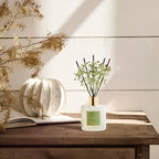 Cocorrína Reed Diffuser - Image 5