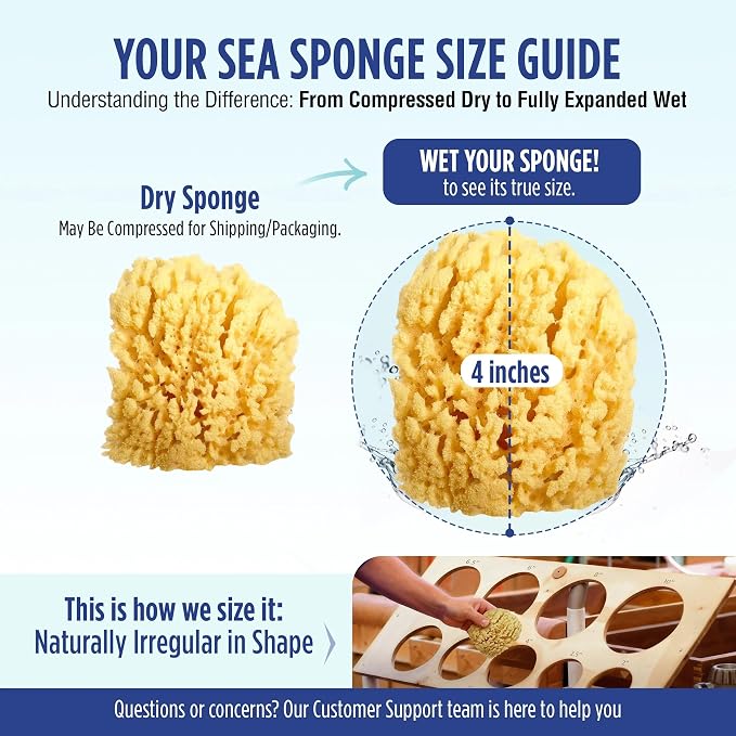 Baby Buddy Absorbent Natural Bath Sponge, Ultra Soft Premium Sea Wool Sponge - Image 7