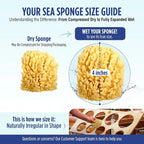 Baby Buddy Absorbent Natural Bath Sponge, Ultra Soft Premium Sea Wool Sponge - Image 7