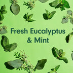 Softsoap Eucalyptus & Mint Body Wash, Moisturizing Body Wash, 20 Oz - Image 5