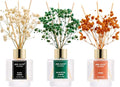 Airkeep Reed Diffuser Set of 3 by Airkeep