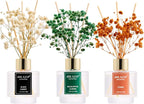 Airkeep Reed Diffuser Set of 3 by Airkeep