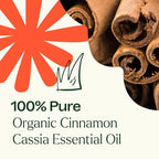 Plant Therapy USDA Certified Organic Cinnamon Cassia Essential Oil 10 mL 100% - Image 5