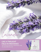 Essence Wearable Aromatherapy Nasal Diffuser – Lavender Essential Oil Nose Ring - Image 3
